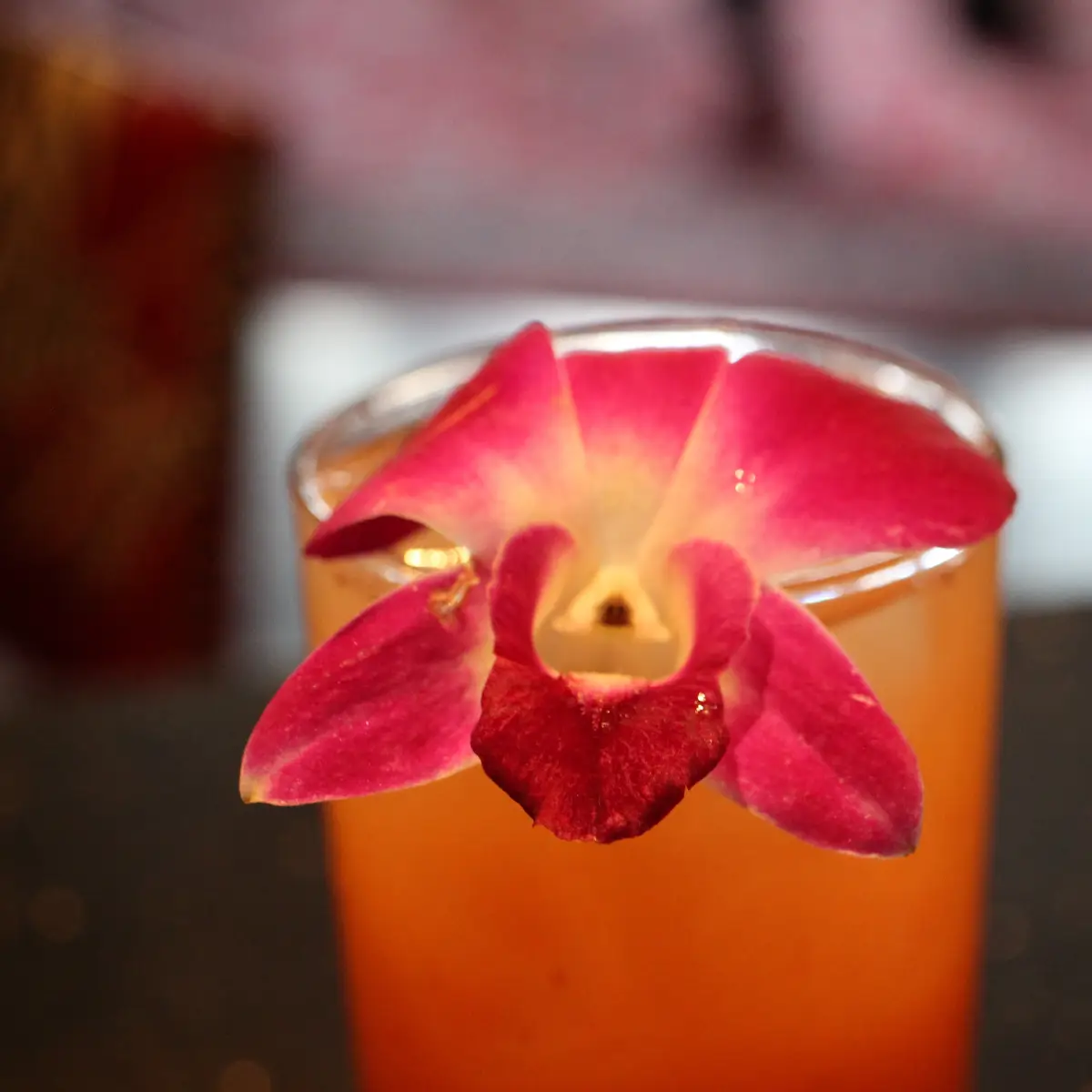 Carnivale Photo Gallery Image 03